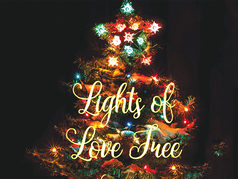 Lighting of the Lights of Love Tree