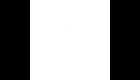 Lotus Robotics