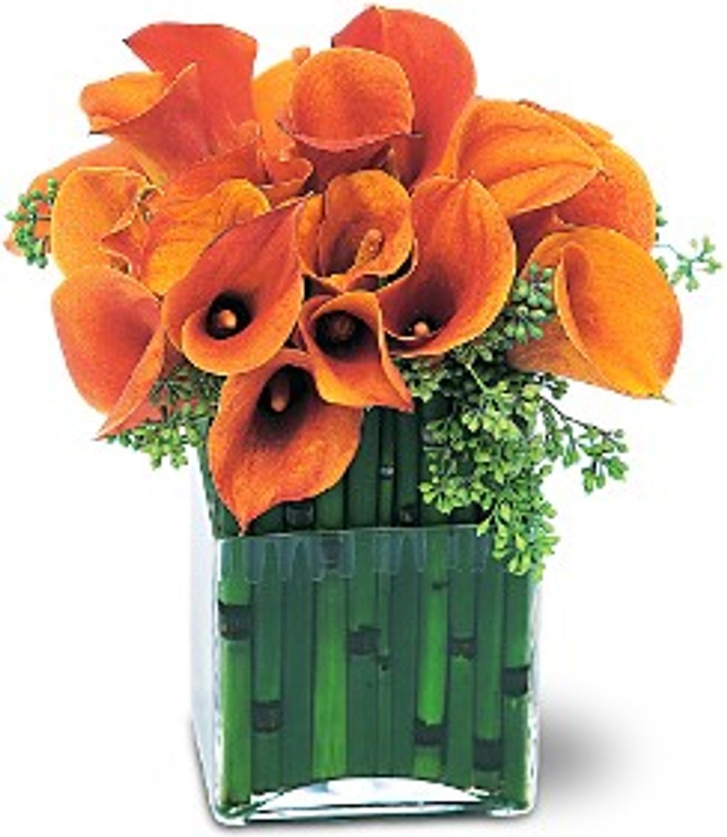 Passion Flowers Ventura, California